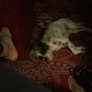 Meet your Posher, Sheryl